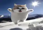 mewoski