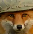 wulf