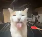 better than you
