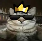 milik_kotik