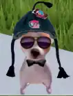 im a lil dog :)