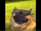 flickxr