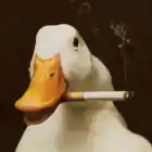 Dack