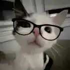 wekna