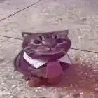 nevqert.cfg