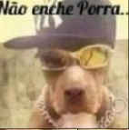 Muriloliloboy