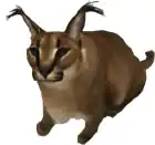pisiciksurusu