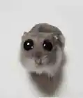 Karma_orig