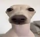 SigmaSuperEz
