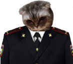 Генерал феликс