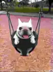 vupsikpupsik66