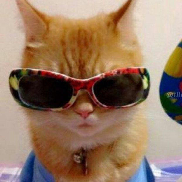 agent 1