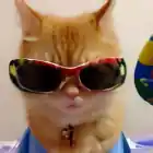 agent 1