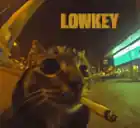 whylovly