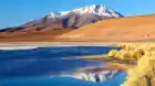 Shaze