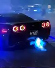 rzvn