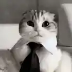 lapexopex