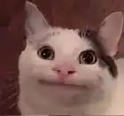 nedohacker