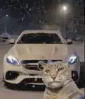 Sergei974