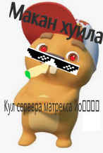 Матрекс питух