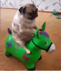 pempem