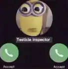 Mannesarin