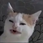 japanester