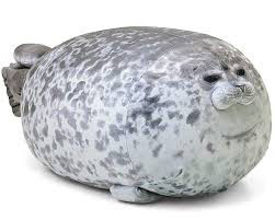 mattewsiir mattewsiir