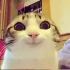 Ritari2