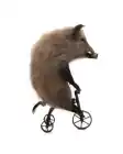 выстрел