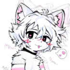 impo_10t