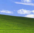 gamer123