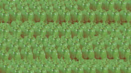 ErrorVox