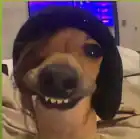 anhopa