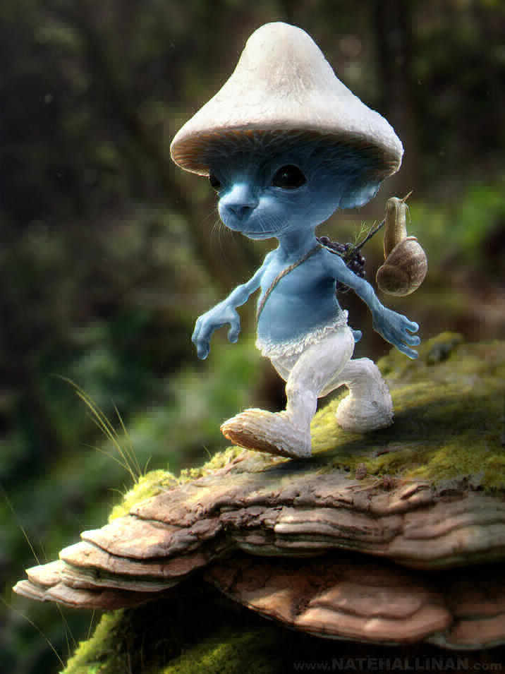 blue smurf cat