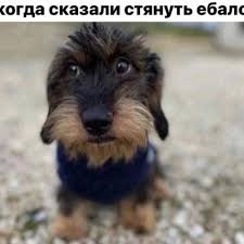 cheat creator