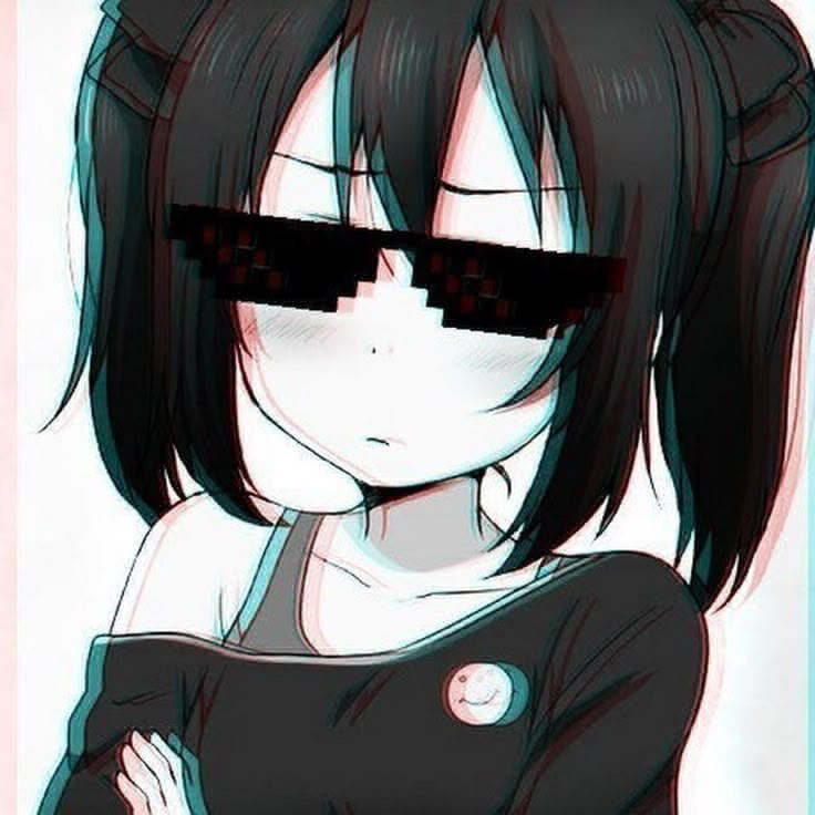 shellwave shellwave