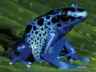 depri ★