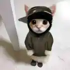 talxygd