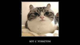 Сухаааарики