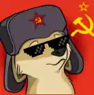 Tvoi Sempai