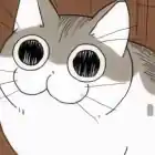 chekot