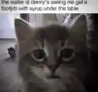 jayss