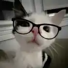 niggers_14881337
