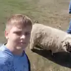 stupid_ebasos