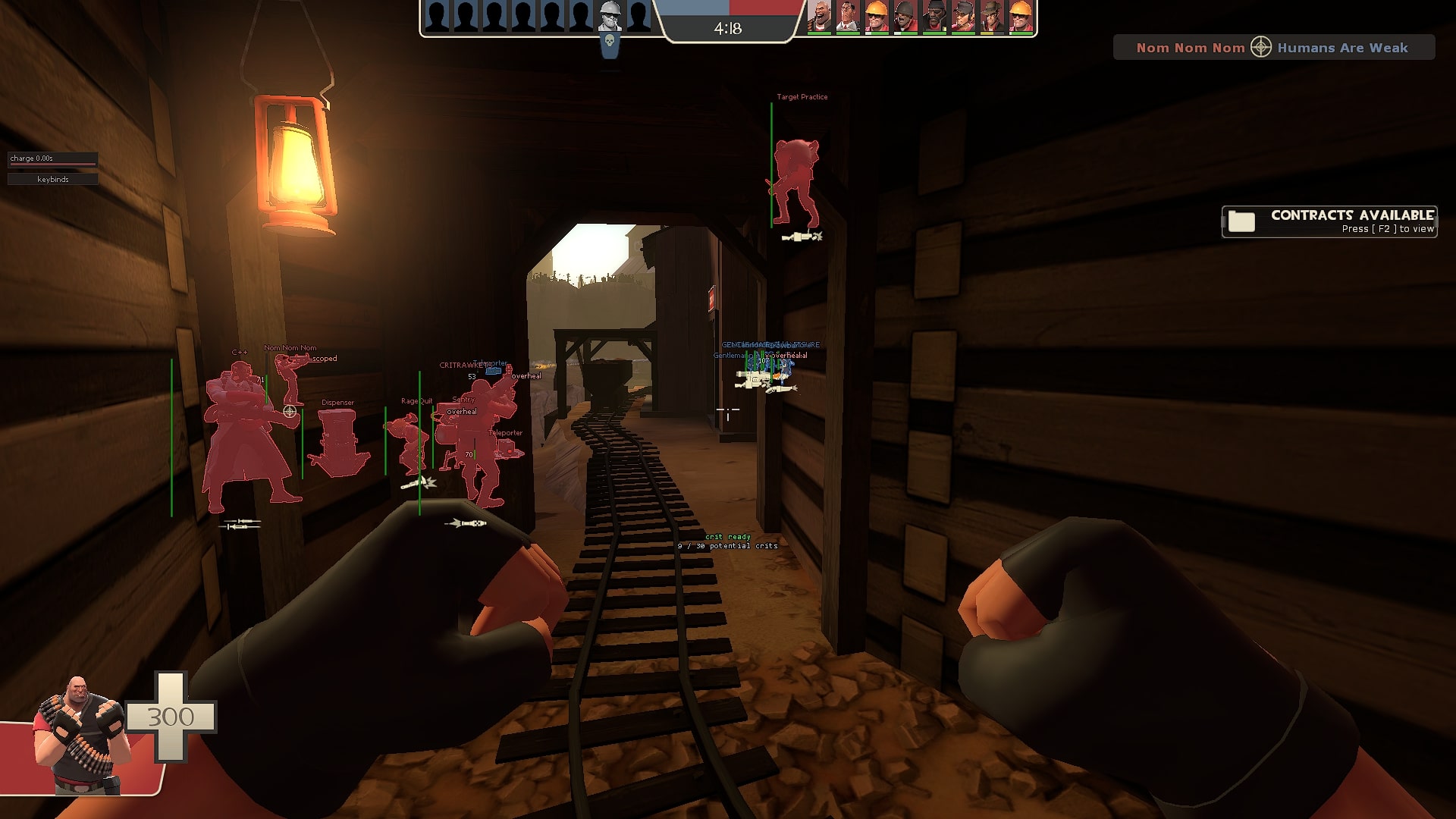 Cheats for TF2 / Team Fortress 2